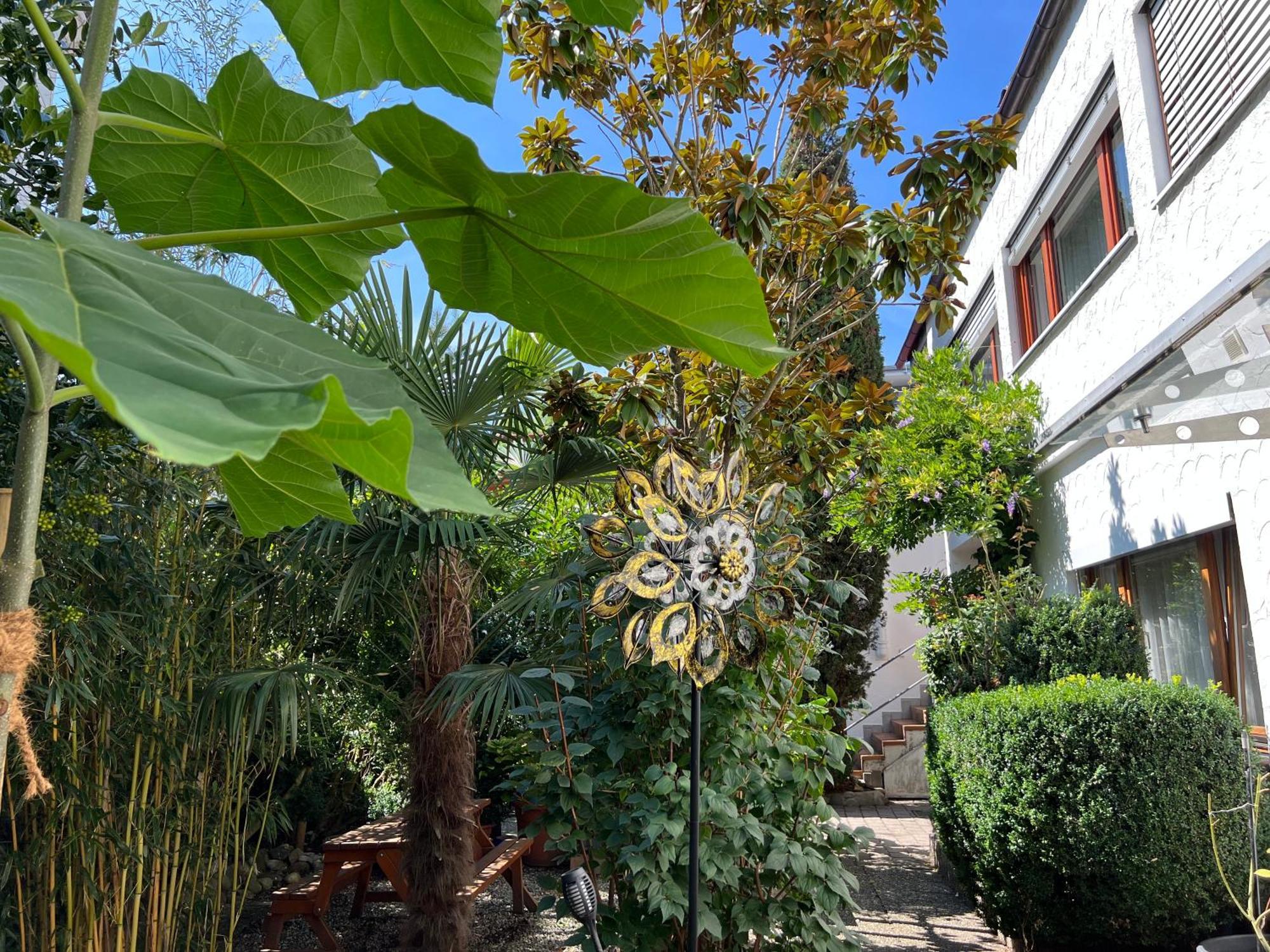 Haus Pia Executive Apartments Friedrichshafen Zimmer foto